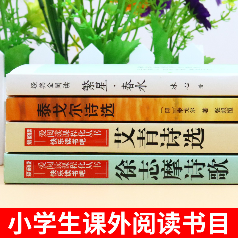 小学生现代诗繁星春水冰心四年级下册阅读课外书必读正版艾青诗选泰戈尔徐志摩现代诗集大全名家散文集精选小学散文读本儿童诗歌-图1