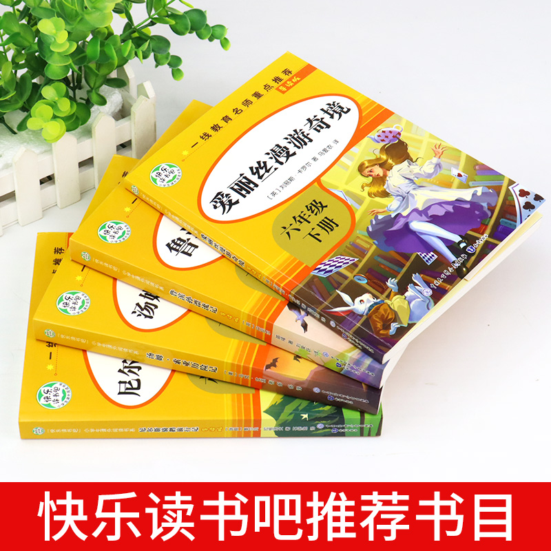 全套4册 鲁滨逊漂流记六年级下册必读正版的课外书汤姆索亚历险记爱丽丝漫游奇境骑鹅旅行记推荐原著完整版快乐读书吧鲁滨孙老师 - 图1