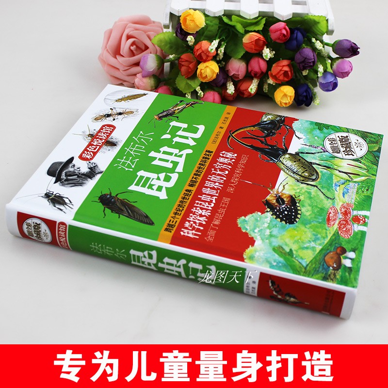 昆虫记法布尔原著完整版 小学生三年级至四五六上册下册阅读课外书必读正版的书目幼儿园儿童版全集科普绘本10册彩图注音版幼儿版 - 图0