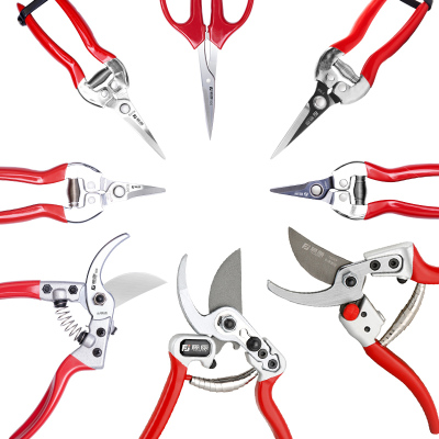 【藤原】修枝花剪多功能家用剪刀