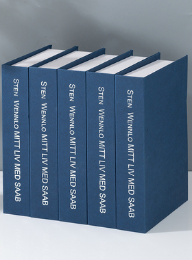 简约纯色仿真书样板间创意