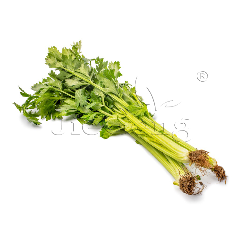 黄心芹种子 芹菜种籽  Chinese Celery Microgreens Seeds 芽苗菜 - 图0