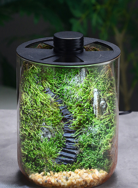 冬季保湿微景观植物闷养瓶