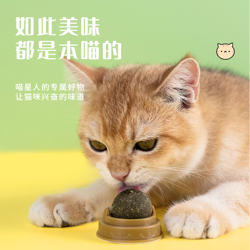 猫零食猫薄荷球棒棒糖猫咪用品猫糖逗猫玩具逗猫棒木天蓼磨牙棒 - 图2