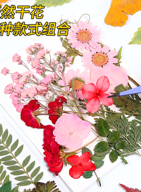 押花DIY混合干花树叶包