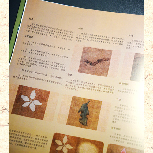 【官方正版】宋画小品技法精解：工笔花鸟 12幅宋画原大+局部放大 1:1临摹全流程 中国画工笔花鸟绘画初学者临摹画法详解教程书籍 - 图1