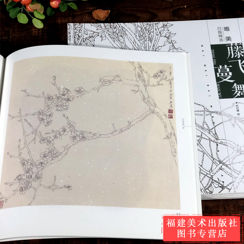 唯美白描精选刘兴建5册 工笔画花卉技法白描底稿勾线稿毛笔画谱国画初学者临摹范本画册 刘兴建绘画教程书籍中国现代花卉画作品集 - 图2