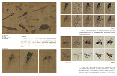 Видео -преподавание живописи интерпретация цветов и методов живописи для интерпретации китайских знаменитых технологий живописи, цветов, птиц, рыб и техники насекомых Объяснение высокоопределения оригинальной частичной частичной частичной расширенной цветочной графики, знаменитая интерпретация живописи