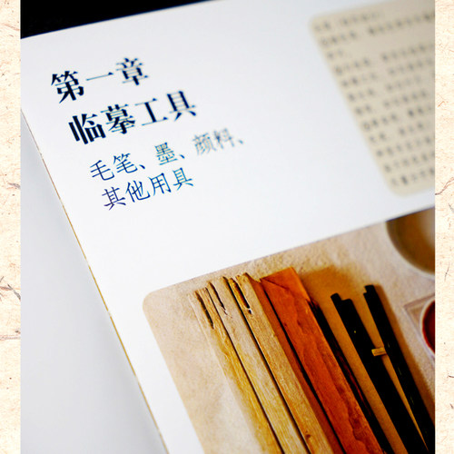 【官方正版】宋画小品技法精解：工笔花鸟 12幅宋画原大+局部放大 1:1临摹全流程 中国画工笔花鸟绘画初学者临摹画法详解教程书籍 - 图0