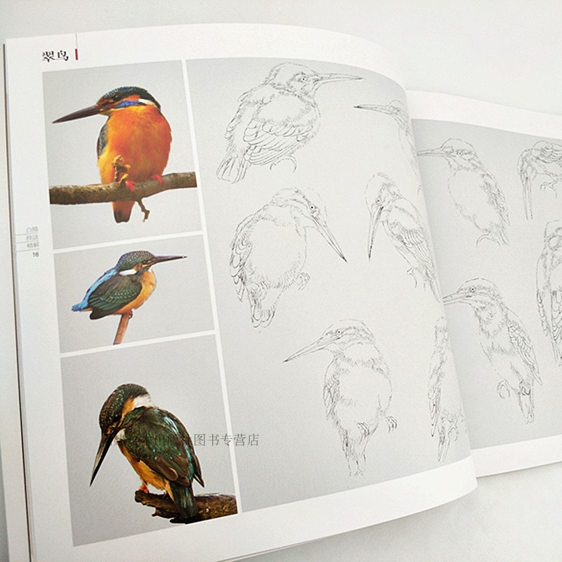 白描技法精解全套8册 荷花禽鸟竹子牡丹草虫梅花菊花 工笔画白描技法动物花鸟白描底稿勾线画谱美术绘画初学者入门基础教程图书籍