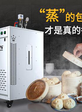 电加热蒸汽机商用变频节