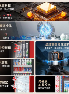 展示柜冷藏保鲜柜饮料柜