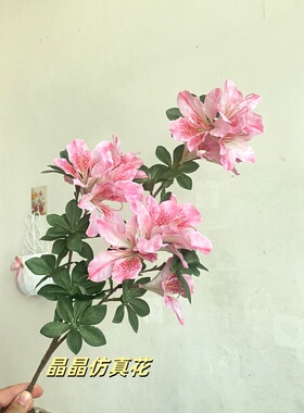 仿真杜鹃花假花绢花树枝