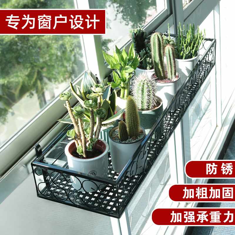 花园植物盆栽花 新人首单立减十元 21年9月 淘宝海外