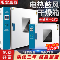 Électrique Blast Thermostatic Drying Cabinet Small Oven Medical Laboratory Dséchage Box Machine Q Instruments industriels certifiés Oven