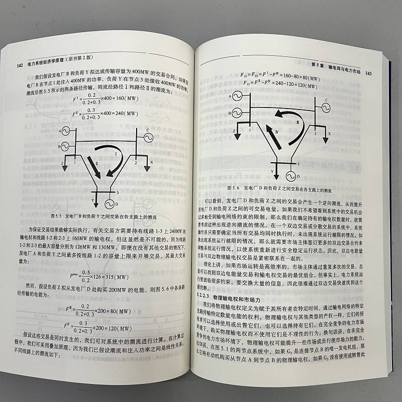 官网正版 电力系统经济学原理 第2版 丹尼尔 吉尔尚 本科教材 9787111729648 机械工业出版社旗舰店 - 图1