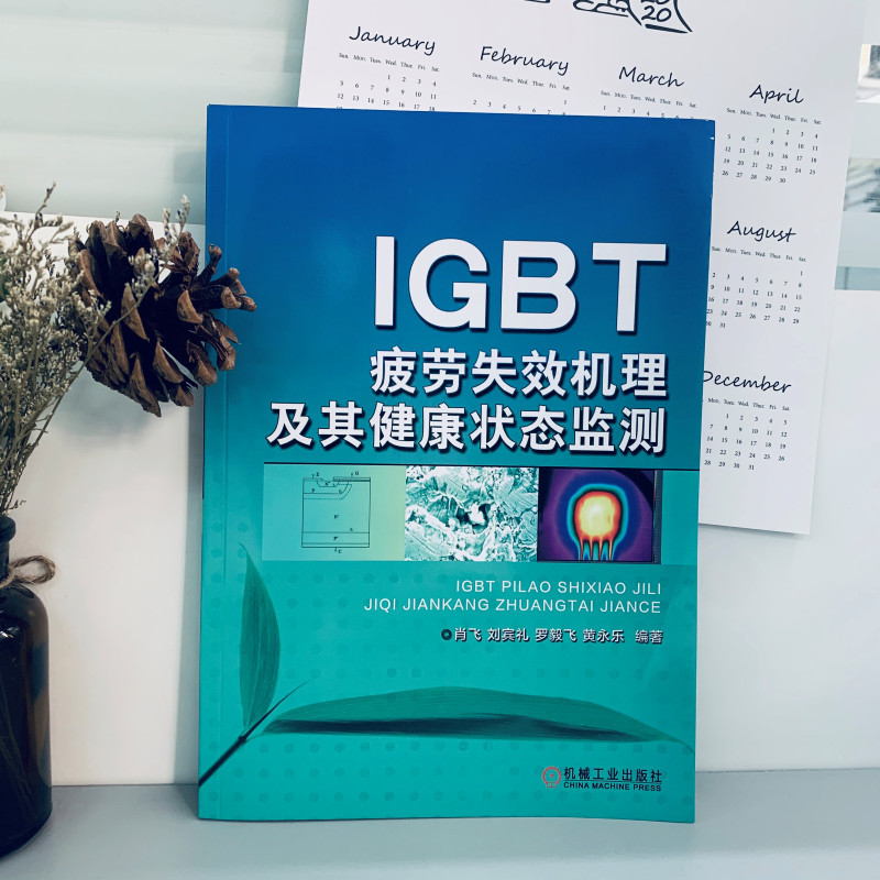 官网正版 IGBT疲劳失效机理及其健康状态监测 肖飞  刘宾礼  罗毅飞  黄永乐 电力电子器件 芯片 有效评估 参考书 - 图0