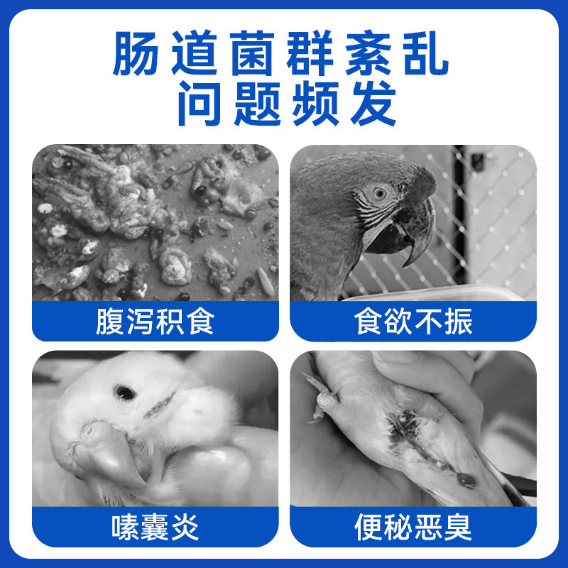 异宠保健品鸟类鹦鹉益生菌粉剂营养补充剂肠胃宝消化缓鸟玄凤虎皮,淘宝优惠券,粉丝福利购,淘宝优惠卷