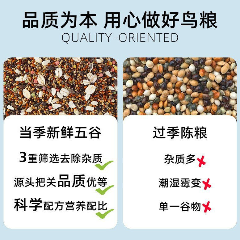 虎皮鹦鹉饲料玄凤鸟粮黄谷子牡丹鸟食五色黍子混合鸟粮宠物鸟,淘宝优惠券,粉丝福利购,淘宝优惠卷