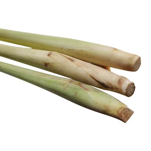 新鲜香茅 柠檬草 5斤/8斤 奶茶店冬阴功汤料泰式香料调料 - 图3