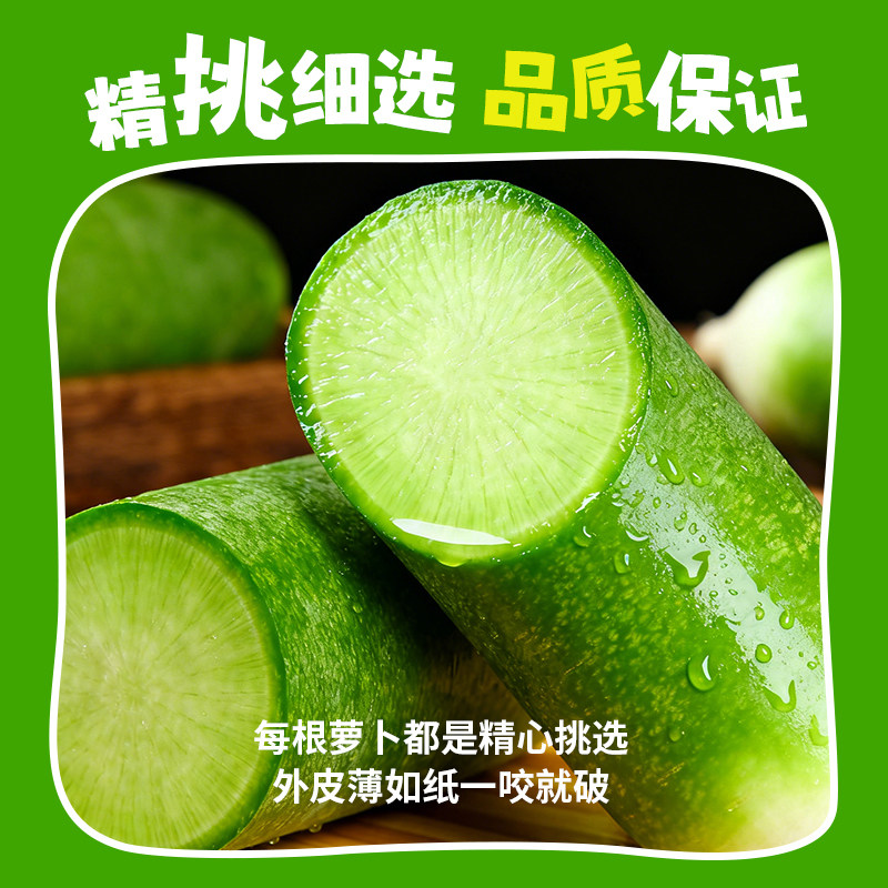 一号农场水果萝卜甜脆爽口生吃新鲜青皮绿心萝卜现拔多汁产地直发,淘宝优惠券,粉丝福利购,淘宝优惠卷