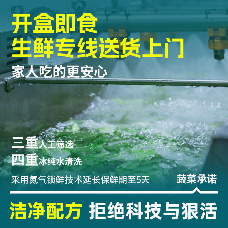 一号农场活力沙拉碗开盒即食混合鲜蔬免洗免切轻食代餐,淘宝优惠券,粉丝福利购,淘宝优惠卷