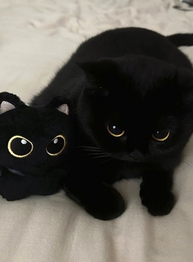 可爱小黑猫猫咪抱枕靠垫毛绒玩具