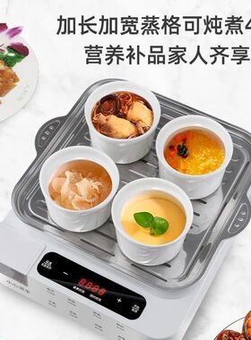 跨境外贸电蒸锅外置加水大容量家用多功能一体全自动电蒸箱早餐机