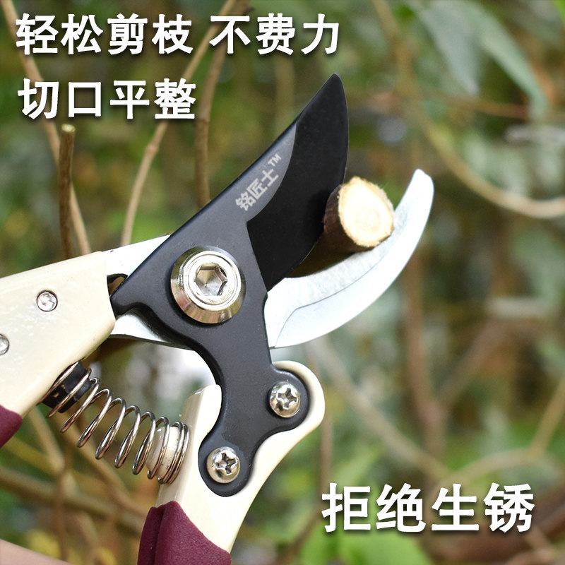 强力果树枝剪刀修枝剪刀粗枝剪树剪子剪刀剪枝花卉绿化园艺剪刀_虎窝淘