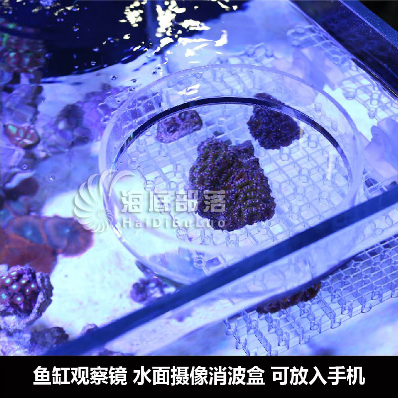 海水缸亚克力珊瑚观察镜漂浮工具盒观察盒鱼缸水下高清拍照珊瑚 - 图0