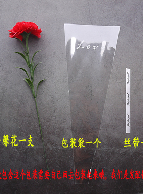 单支花束送礼插花康乃馨