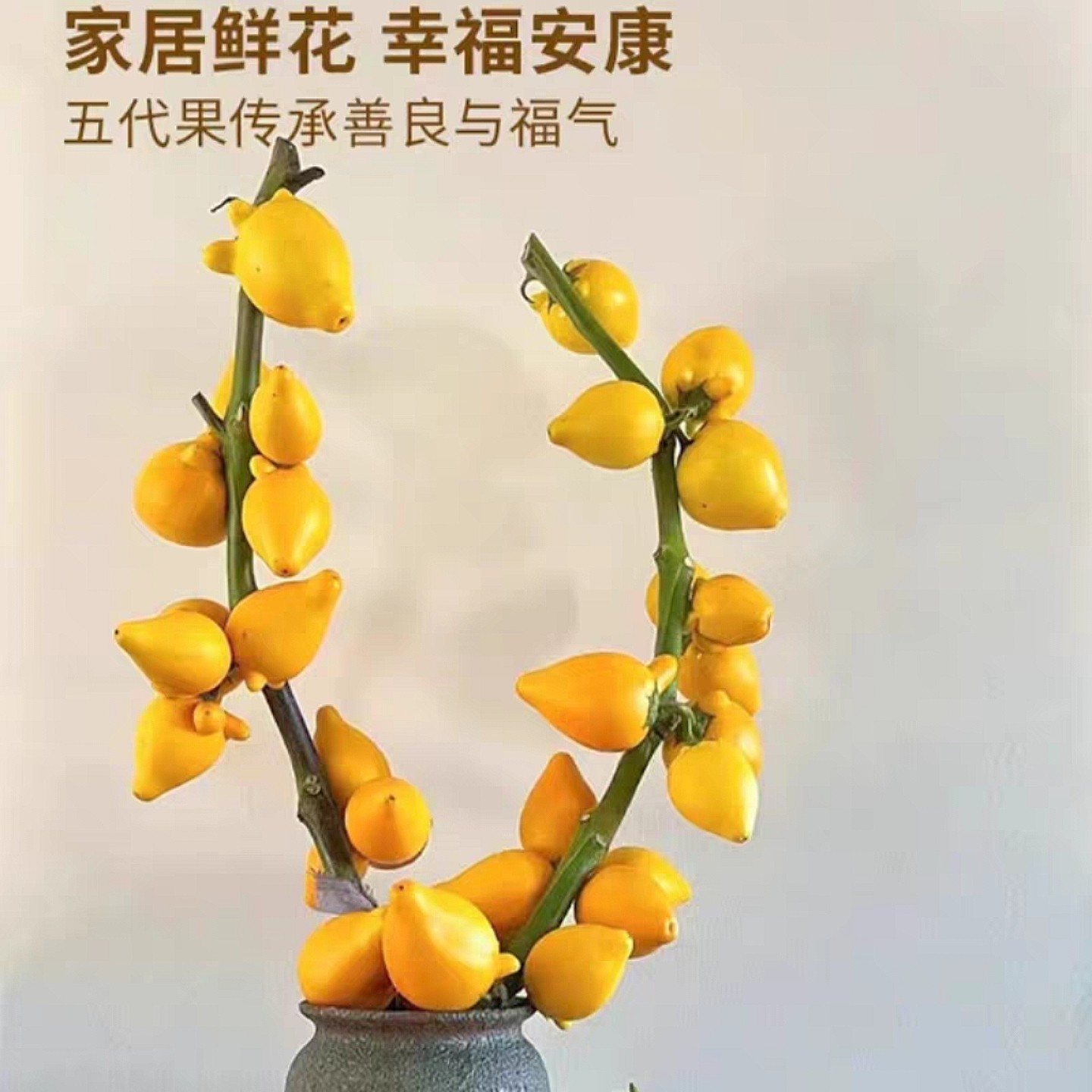 五代同堂黄金果福禄果鲜花可水养可干放家庭办公室装饰摆件高品质,淘宝优惠券,粉丝福利购,淘宝优惠卷
