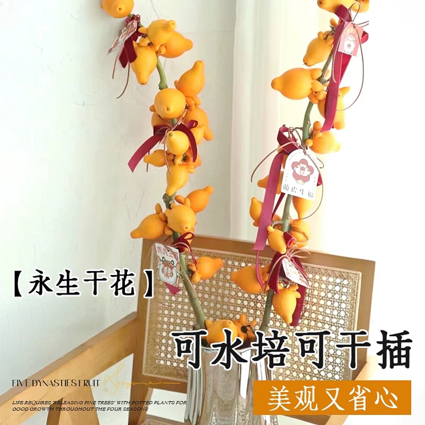 五代同堂黄金果福禄果鲜花可水养可干放家庭办公室装饰摆件高品质,淘宝优惠券,粉丝福利购,淘宝优惠卷