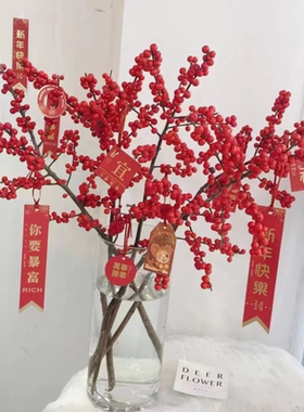 花瓶摆件客厅插花透明玻璃花瓶创意简约直筒富贵竹马醉木银柳家用