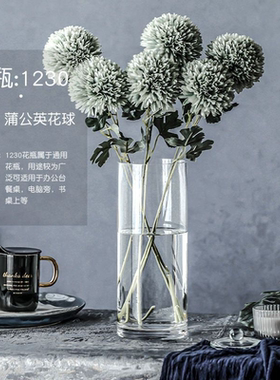 高级ins风玻璃透明花瓶富贵竹北欧简约直筒高款大码摆件客厅插花