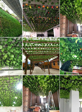 仿真葡萄叶藤条藤蔓绿植物树叶管道吊顶装饰花藤假花塑料绿叶缠绕