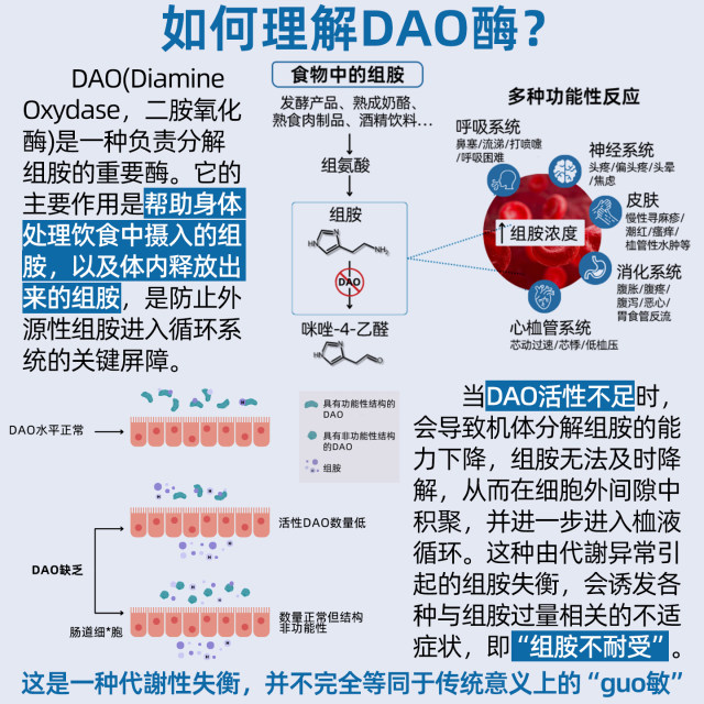 ຝະລັ່ງ nutrixeal ສິດທິບັດ diamine oxidase ຜິວຫນັງຮອຍແປ້ວອາຫານ sensitivity ເຈັບຫົວ histamine decomposing enzyme