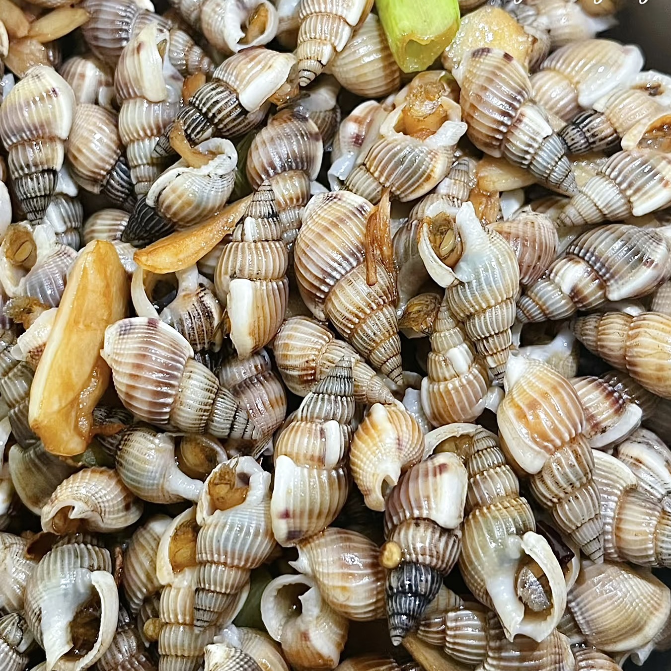 Dalian Fresh Haisazi Air Freight Live Hair 500g