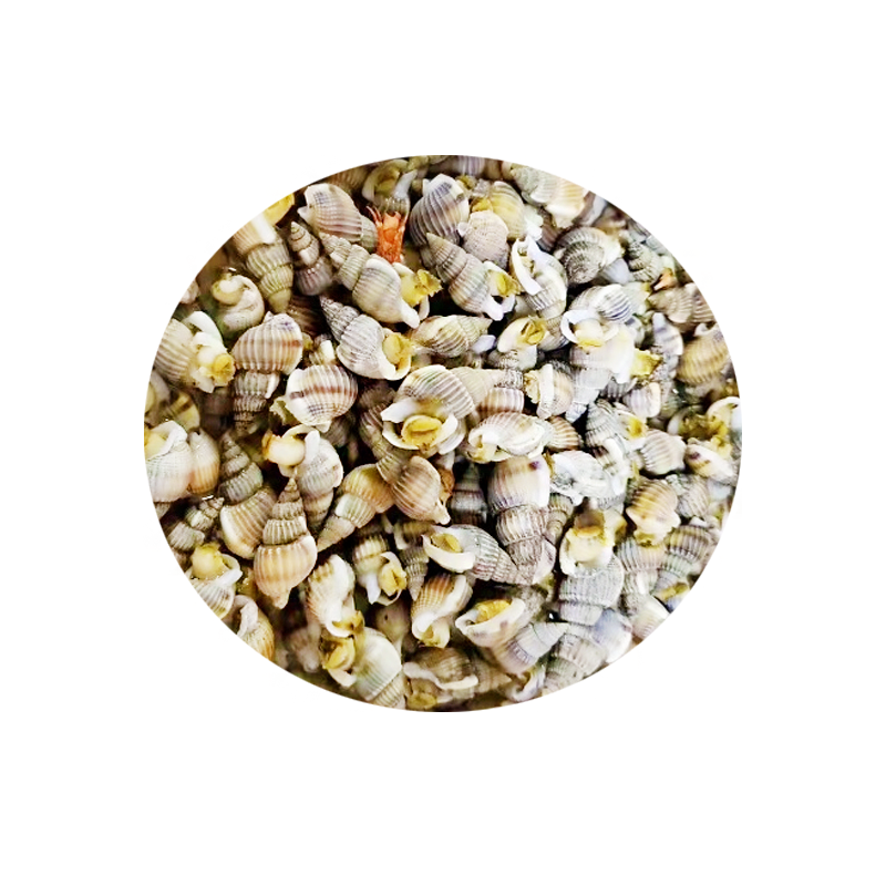 Dalian Fresh Haisazi Air Freight Live Hair 500g