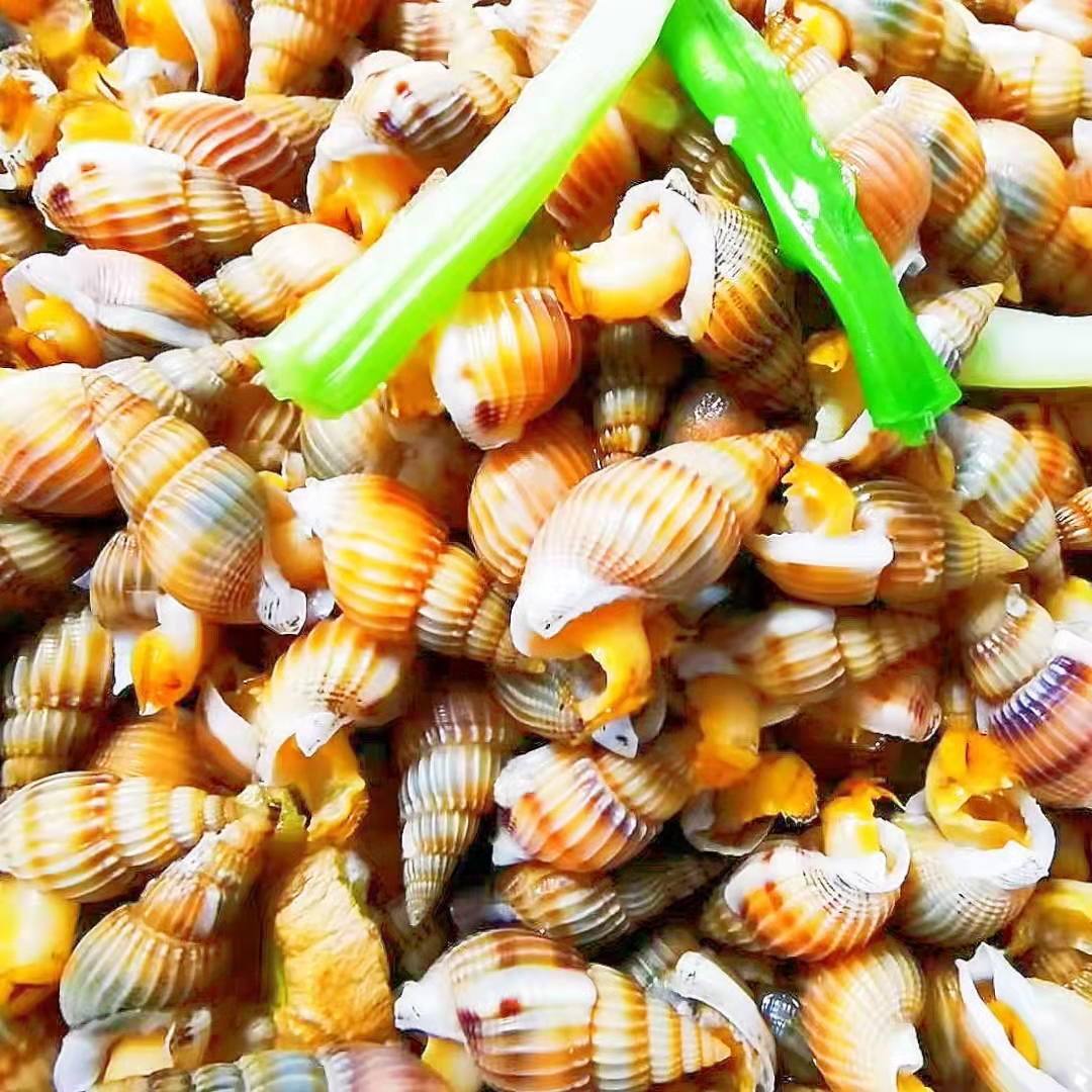 Dalian Fresh Haisazi Air Freight Live Hair 500g