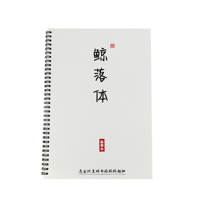 鲸落体学生作文金句字帖央视文案金句励志语录钢笔速成临摹练字帖-图3