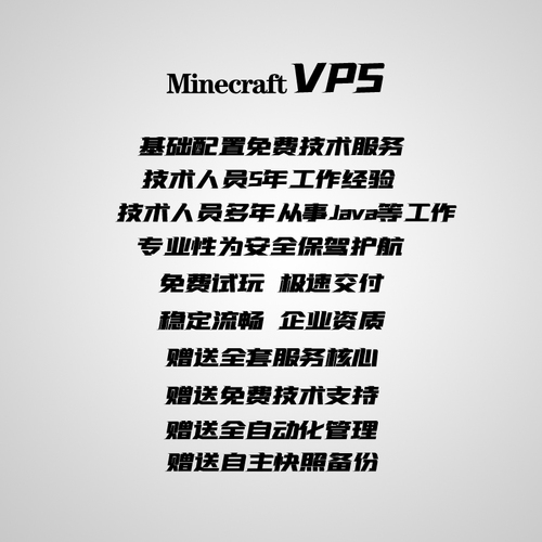 MC我的世界国际版java版服务器基岩Minecraft开服面板vps联机永久