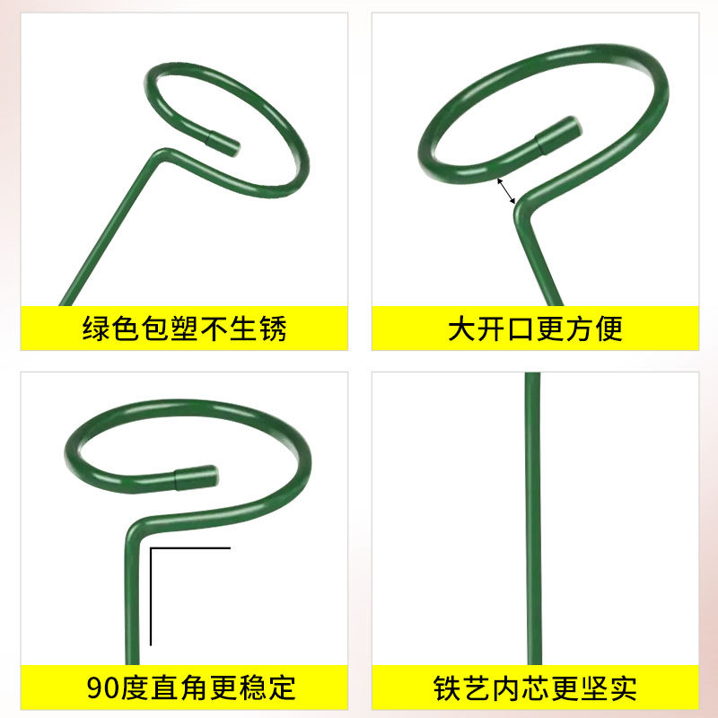 植物防倒伏支架铁艺绣球吊兰支撑杆园艺固定架爬藤花卉朱顶红花架,淘宝优惠券,粉丝福利购,淘宝优惠卷