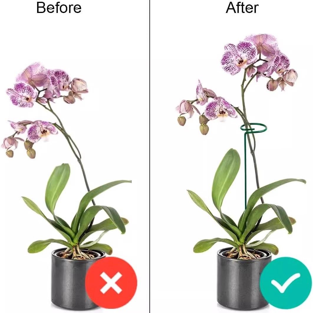 植物防倒伏支架铁艺绣球吊兰支撑杆园艺固定架爬藤花卉朱顶红花架,淘宝优惠券,粉丝福利购,淘宝优惠卷