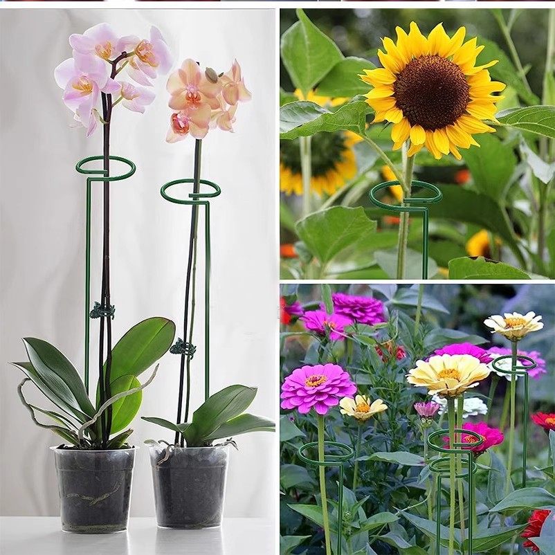 植物防倒伏支架铁艺绣球吊兰支撑杆园艺固定架爬藤花卉朱顶红花架,淘宝优惠券,粉丝福利购,淘宝优惠卷
