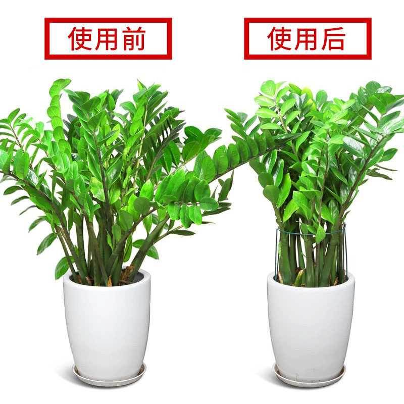 花架支撑杆防倒伏爬藤支架固定植物支撑架花架子龟背竹金钱树护花,淘宝优惠券,粉丝福利购,淘宝优惠卷