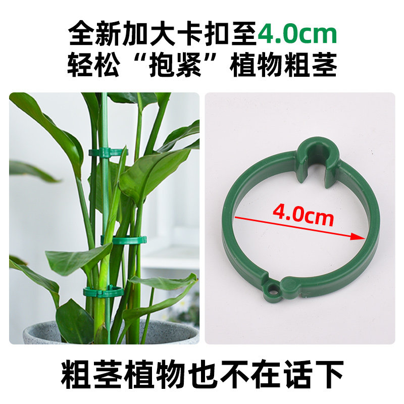 天堂鸟支撑杆专用防倒伏爬藤架植物龟背竹园艺三角梅支架固定神器,淘宝优惠券,粉丝福利购,淘宝优惠卷