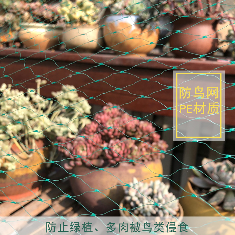爬藤网种植网家用户外庭院丝瓜绳子图片_3