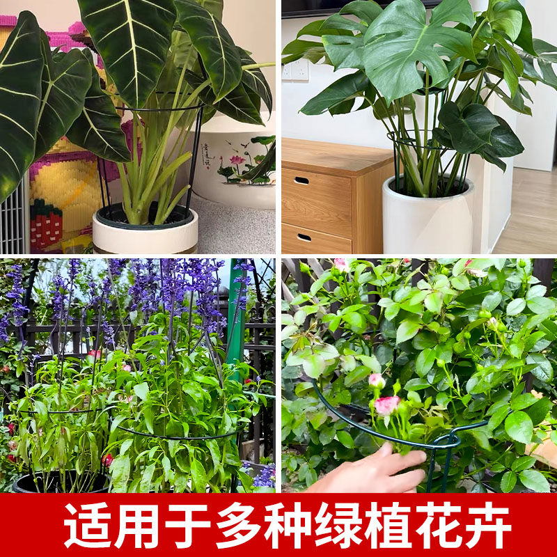花架支撑杆防倒伏爬藤支架固定植物支撑架花架子龟背竹金钱树护花,淘宝优惠券,粉丝福利购,淘宝优惠卷