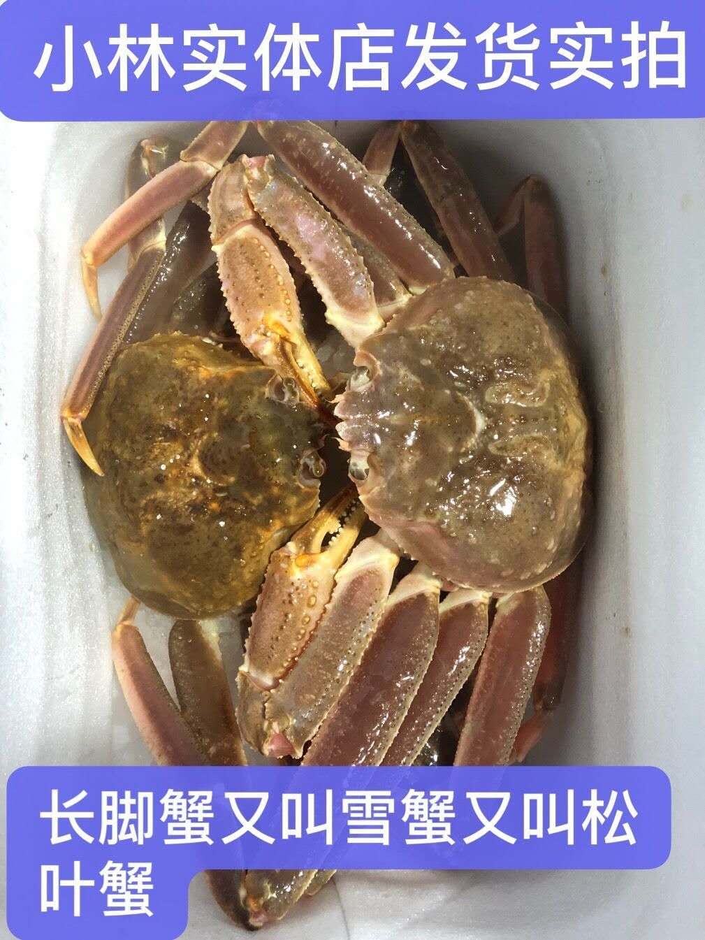 新款板蟹雪蟹海蟹冰鲜松叶蟹长脚蟹帝王蟹2只4斤装上海发货包邮 - 图0